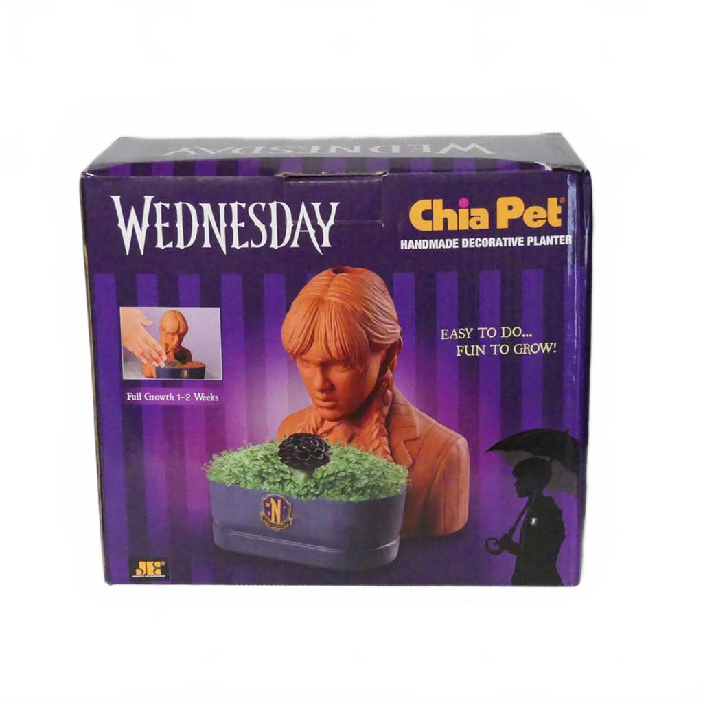 Wednesday Chia Pet Handmade Decorative Planter by Chia Pet