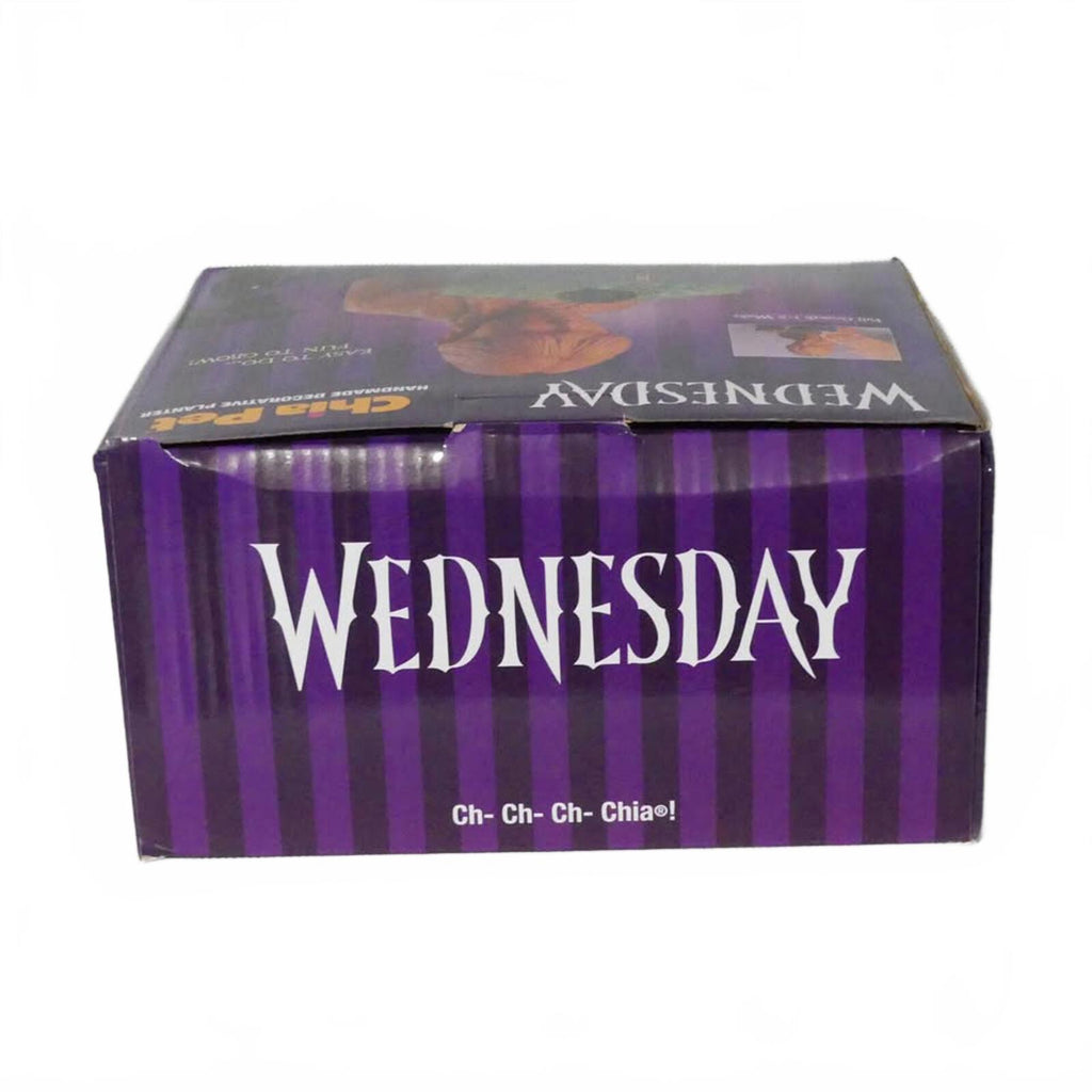 Wednesday Chia Pet Handmade Decorative Planter by Chia Pet