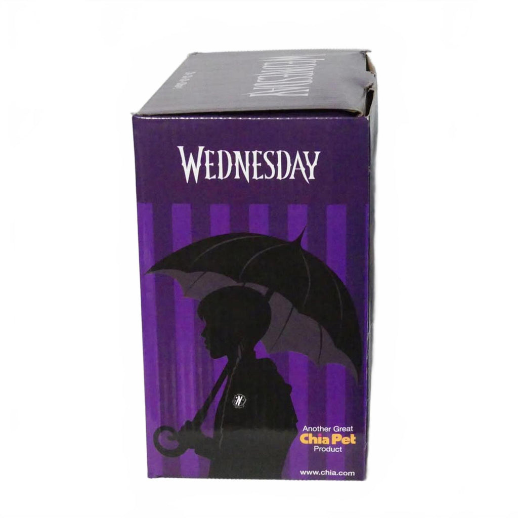 Wednesday Chia Pet Handmade Decorative Planter by Chia Pet