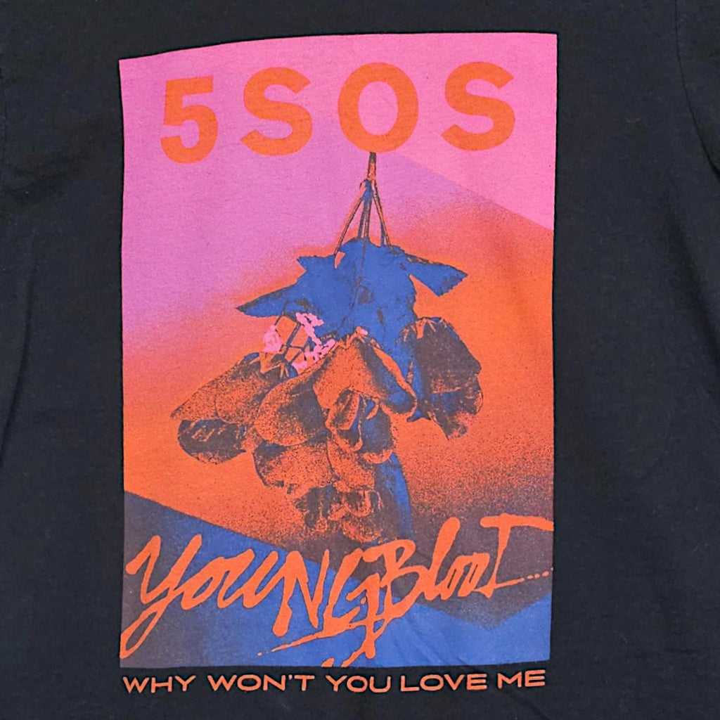5 SOS Young Blood "Why Won't You Love Me" T shirt Tee OFFICIAL Bravad - M by Bravad