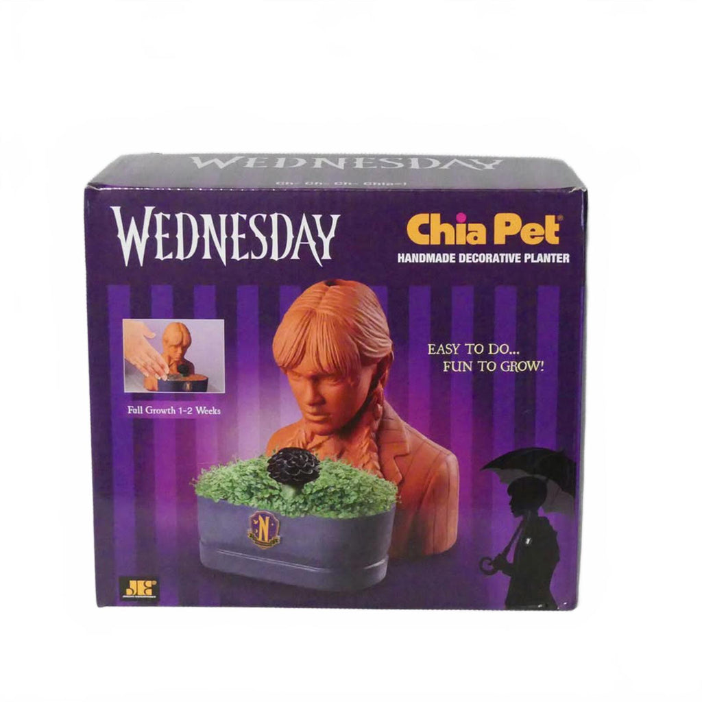 Wednesday Chia Pet Handmade Decorative Planter by Chia Pet