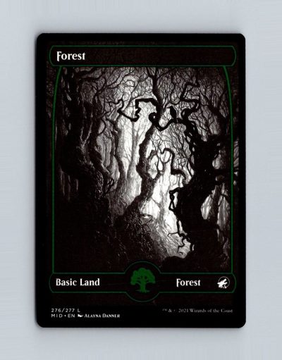 Innistrad: Midnight Hunt #276 Forest (276)