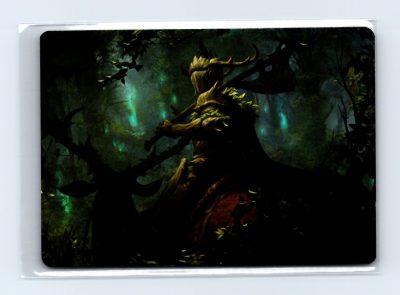Art Series: WOE #28 Verdant Outrider Art Card Gold Stamp Sig